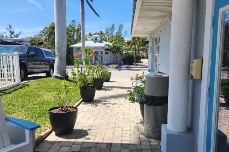 Gallery image 17