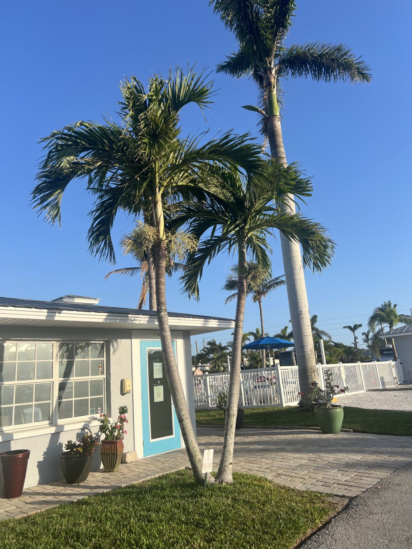 Holiday Cove RV Resort marina in Cortez, Florida